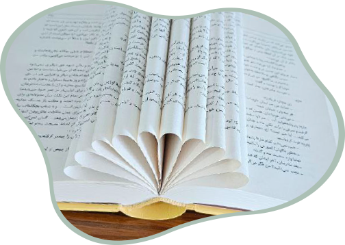 معرفی کاغذ بالکی سافت