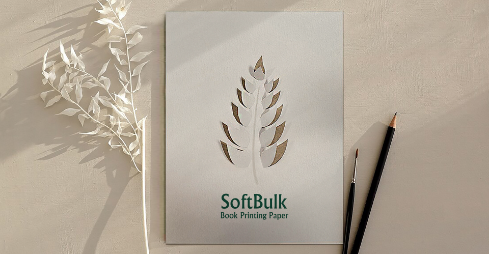 معرفی کاغذ بالکی سافت